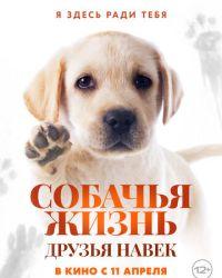 Собачья жизнь: Друзья навек (2023) смотреть онлайн